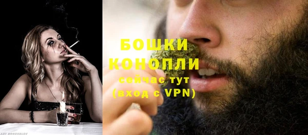 ПСИЛОЦИБИНОВЫЕ ГРИБЫ Балабаново
