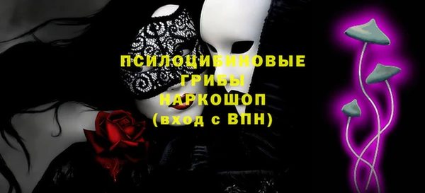ПСИЛОЦИБИНОВЫЕ ГРИБЫ Балабаново