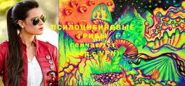 ПСИЛОЦИБИНОВЫЕ ГРИБЫ Балабаново